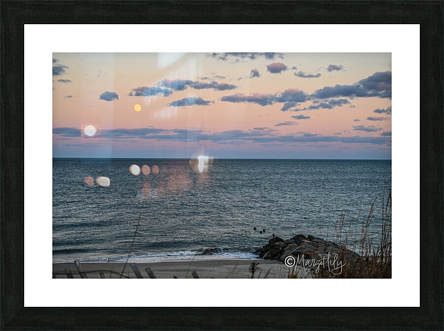 Cape Henlopen Picture Frame print