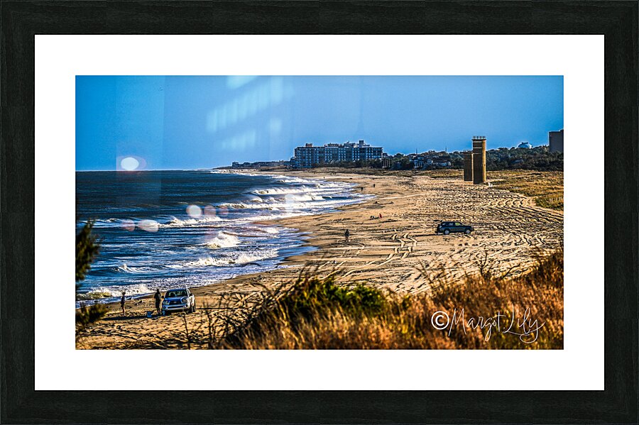 Cape Henlopen Picture Frame print
