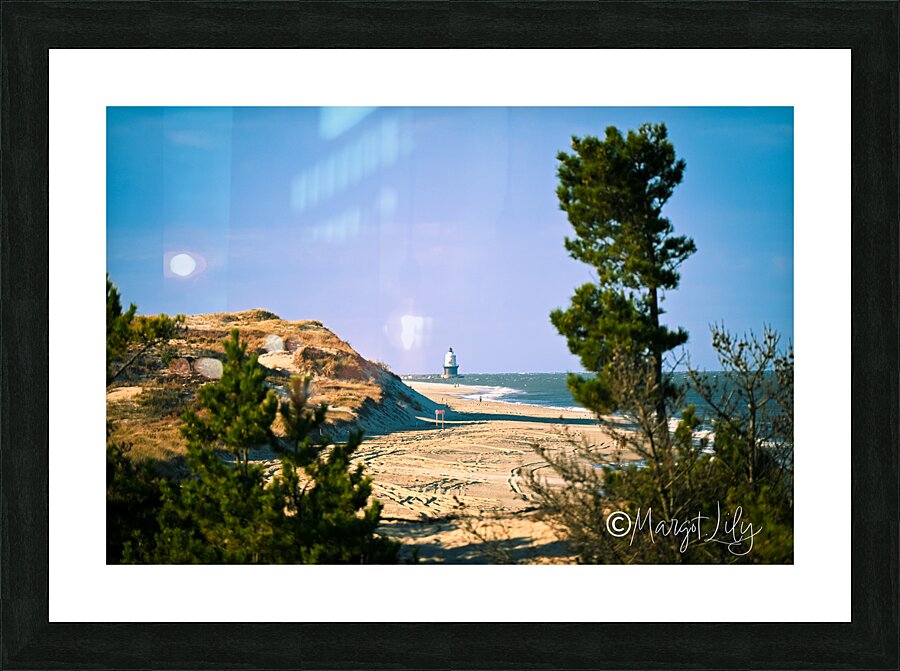 Cape Henlopen Picture Frame print