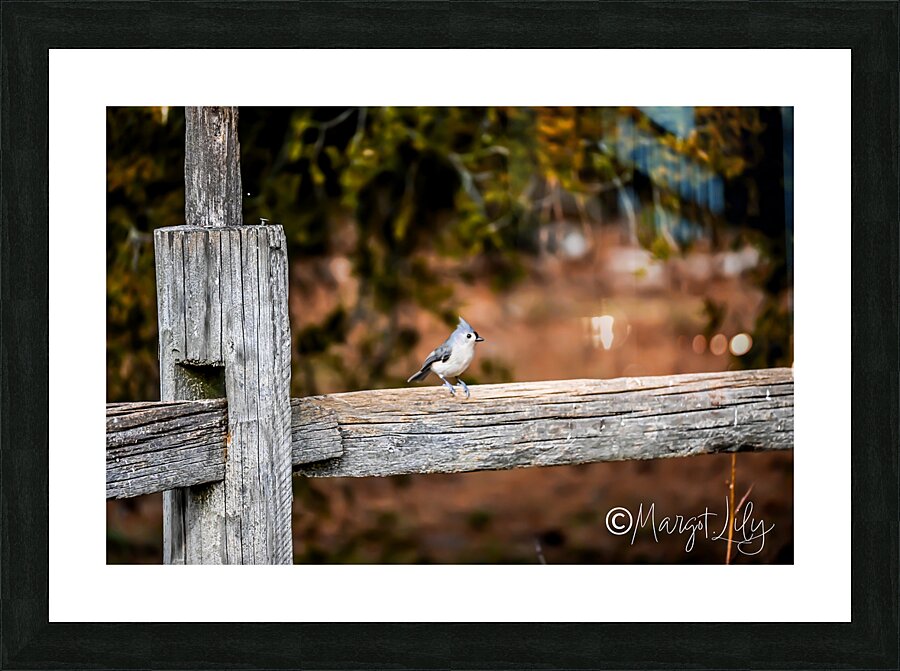 Titmouse Picture Frame print