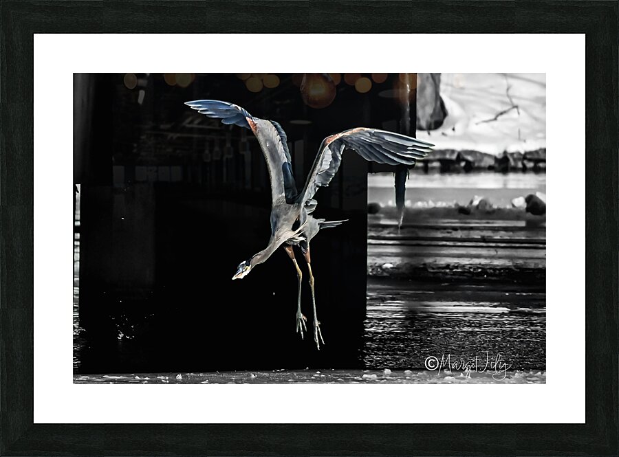 Heron Picture Frame print