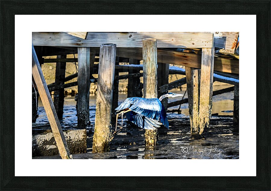 Heron Picture Frame print