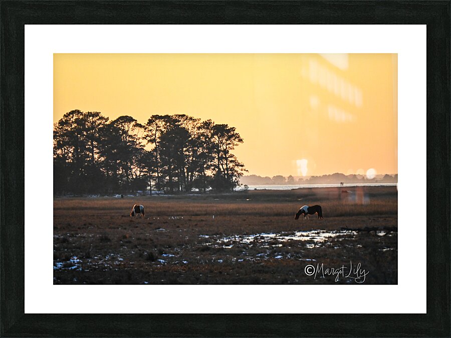 Sunset over Chincoteague Picture Frame print