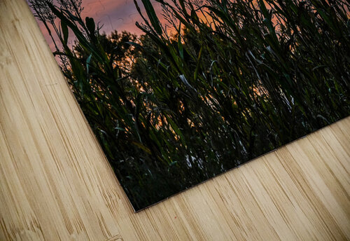 Delaware Sunset Margot Lily puzzle