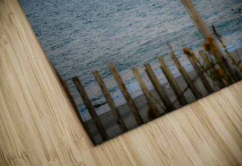 Cape Margot Lily puzzle