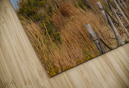 Cape Henlopen Margot Lily puzzle