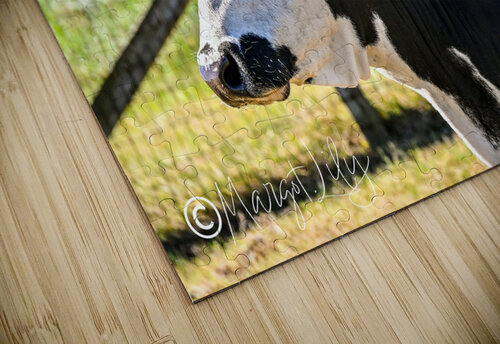 Cow Margot Lily puzzle