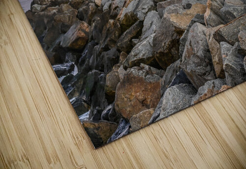 Surfer Margot Lily puzzle