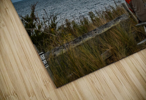 Cape Sunset Margot Lily puzzle