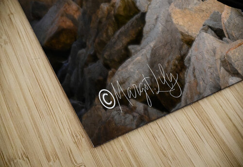 Surfer Margot Lily puzzle