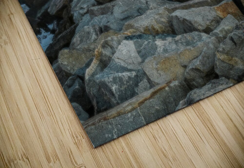 Surfer Margot Lily puzzle