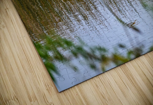 Egret Margot Lily puzzle