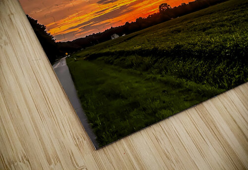 Pocomoke Sunset Margot Lily puzzle