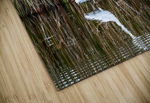 Egret Margot Lily puzzle