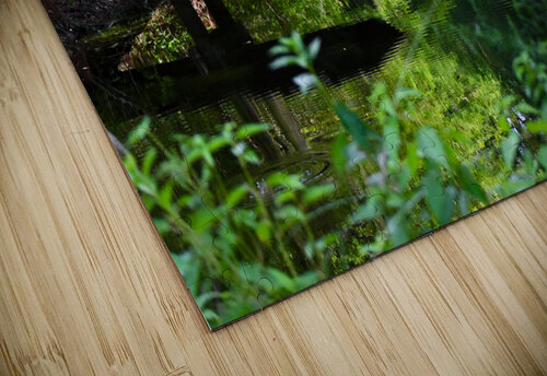 The Farm Margot Lily puzzle