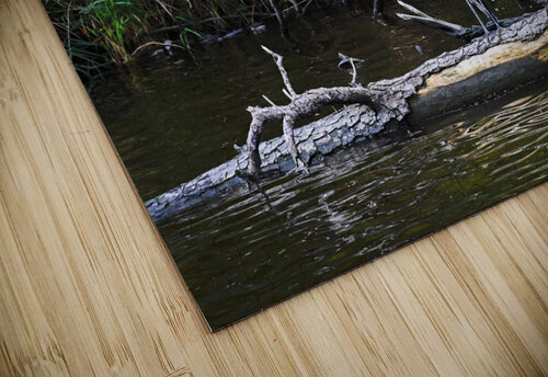 Blue Heron Margot Lily puzzle