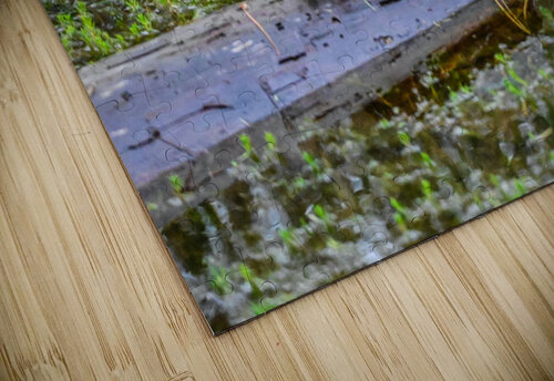 Blackwater turtles Margot Lily puzzle