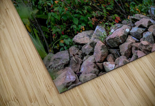 Blue Heron Margot Lily puzzle