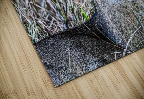 Deer Margot Lily puzzle