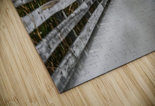Lookout Margot Lily puzzle