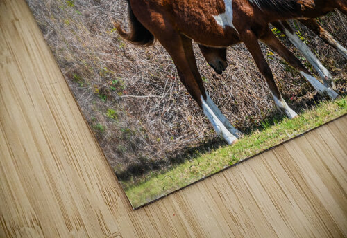 Wild ponies Margot Lily puzzle