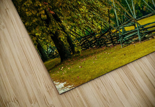 Pemberton Park Margot Lily puzzle