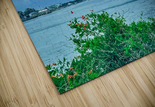 Lewes Inlet Margot Lily puzzle