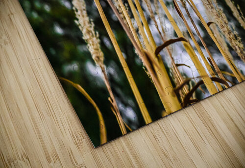 Winter sea grass Margot Lily puzzle