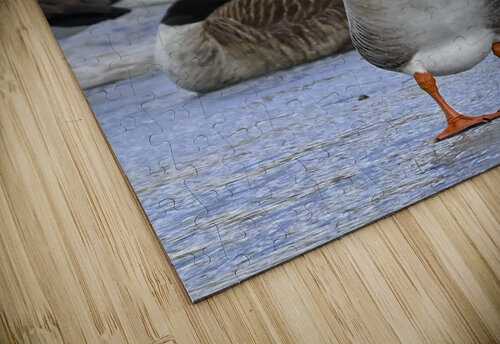 Goose Margot Lily puzzle
