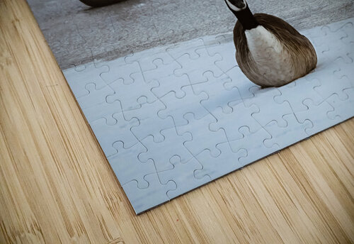 Winter geese Margot Lily puzzle