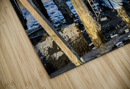 Heron Margot Lily puzzle