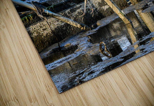 Heron Margot Lily puzzle