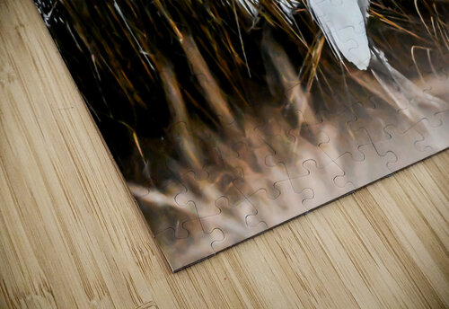 Great Egret Margot Lily puzzle