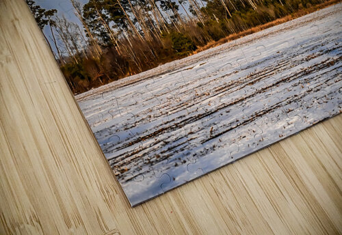 Moon Rising Margot Lily puzzle