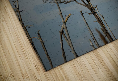 Bald Eagles Margot Lily puzzle