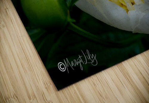 Peony Margot Lily puzzle