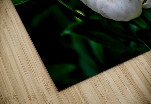 Peony Margot Lily puzzle