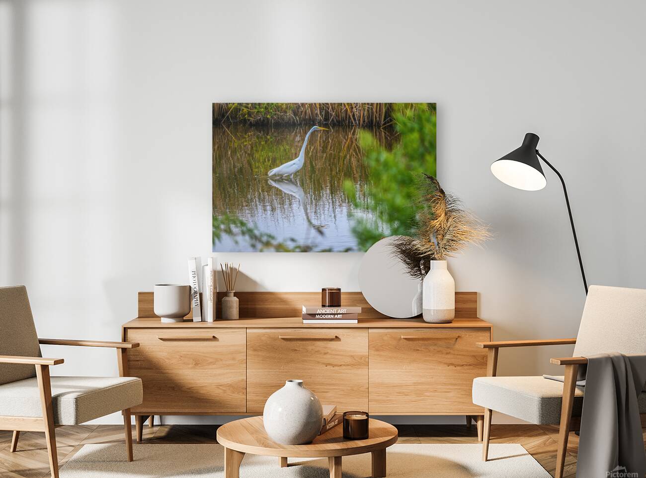 Egret Reproduction