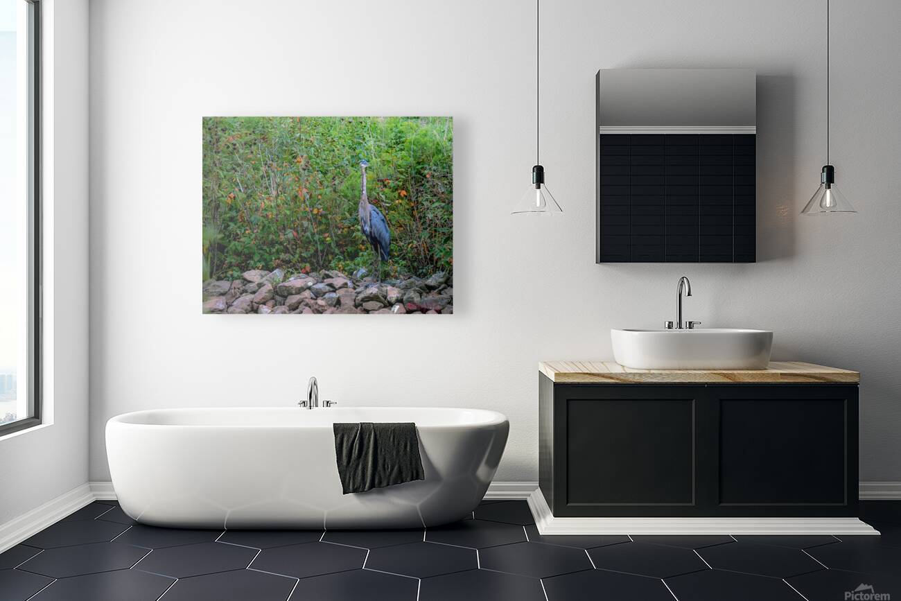 Blue Heron Reproduction