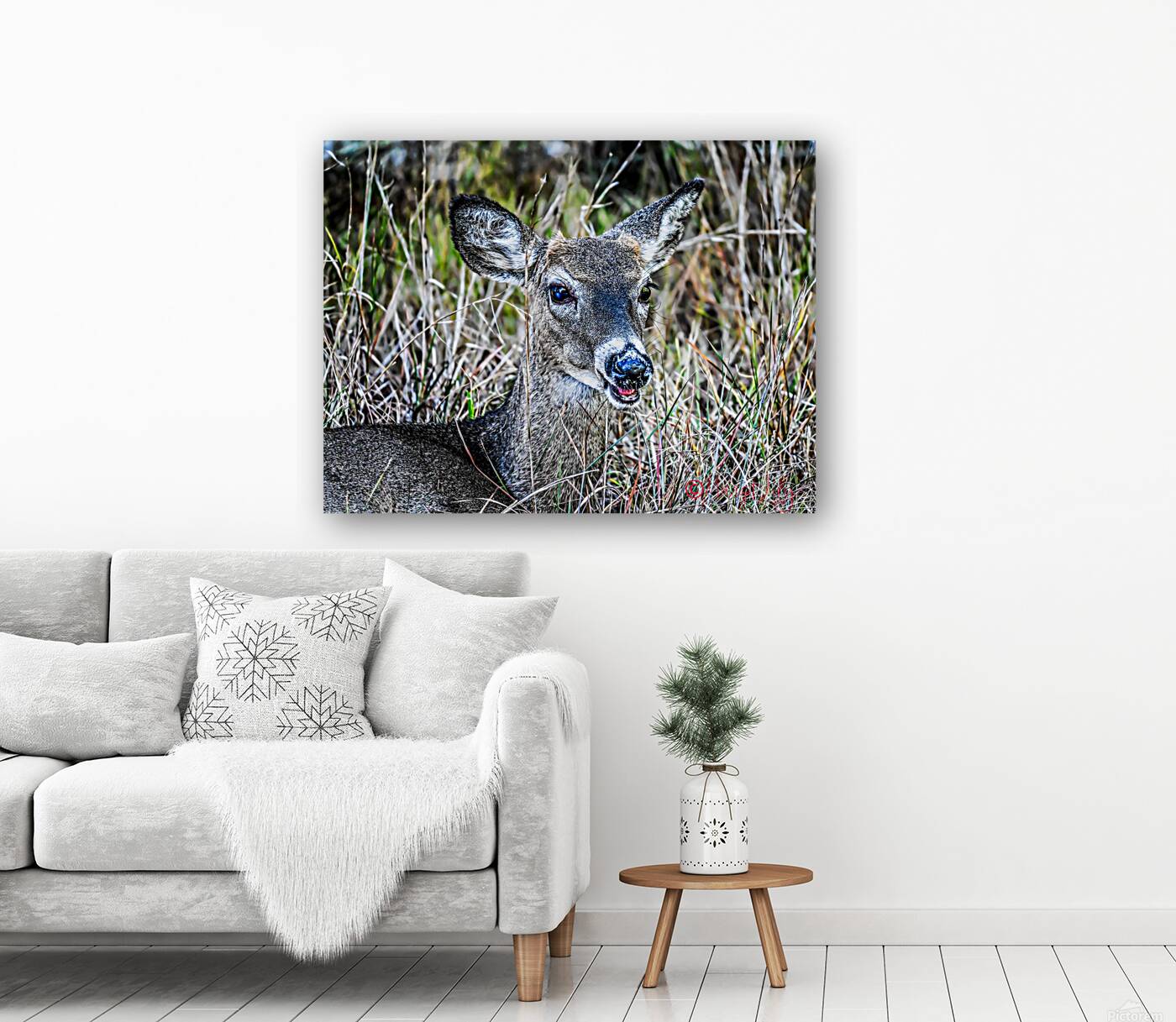 Deer Reproduction