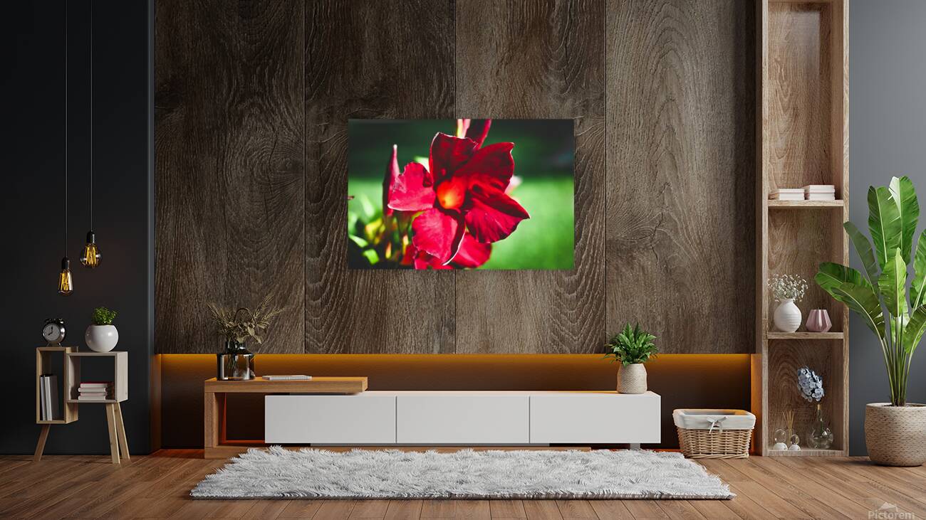 Summer Flowers Reproduction