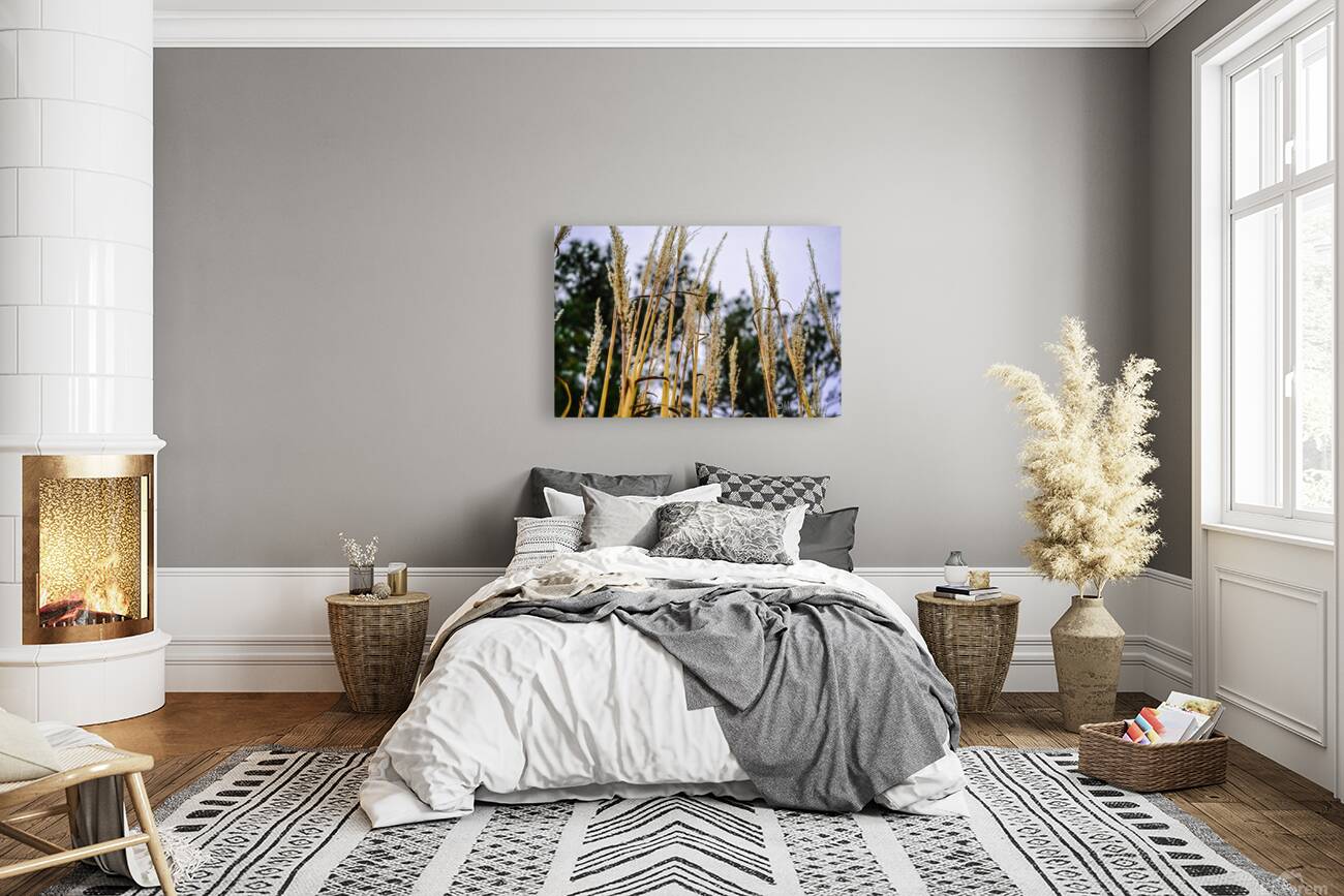 Winter sea grass Reproduction