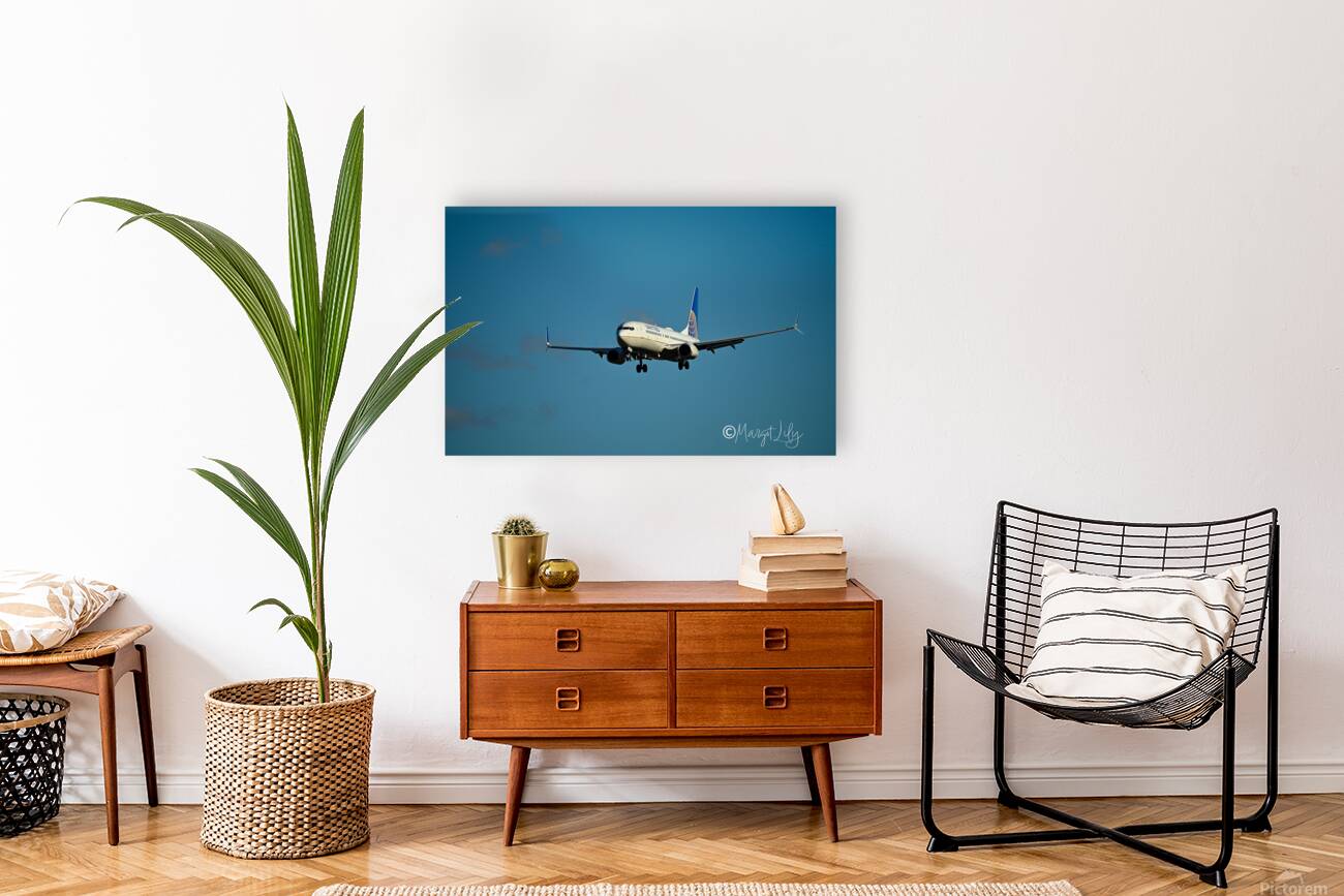 Planes landing Reproduction