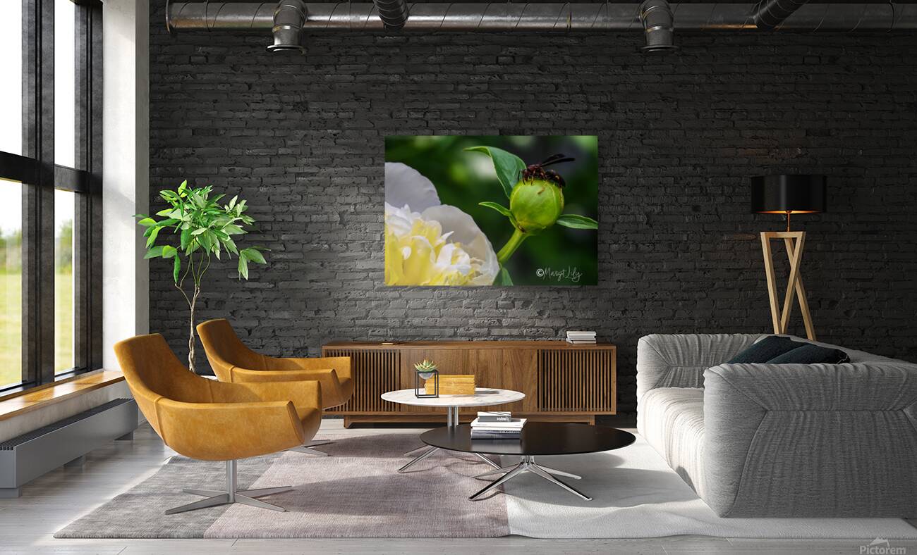 Peony Reproduction