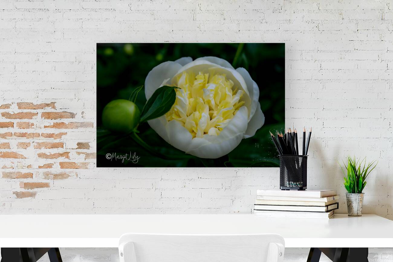 Peony Reproduction