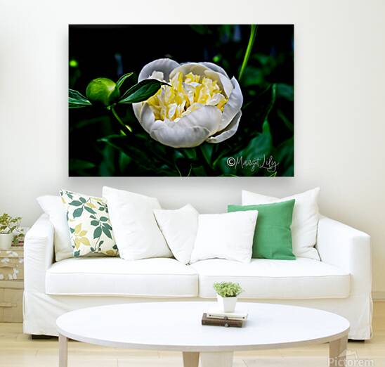 Peony Reproduction