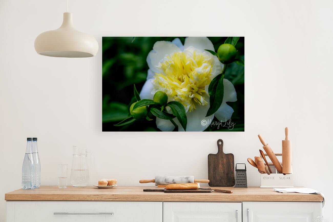 Peony Reproduction