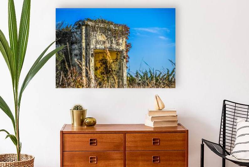 Fort Mills by Margot Lily