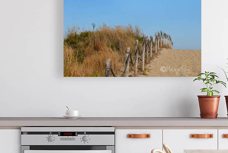 Cape Henlopen by Margot Lily