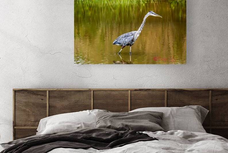 Blue Heron Reproduction